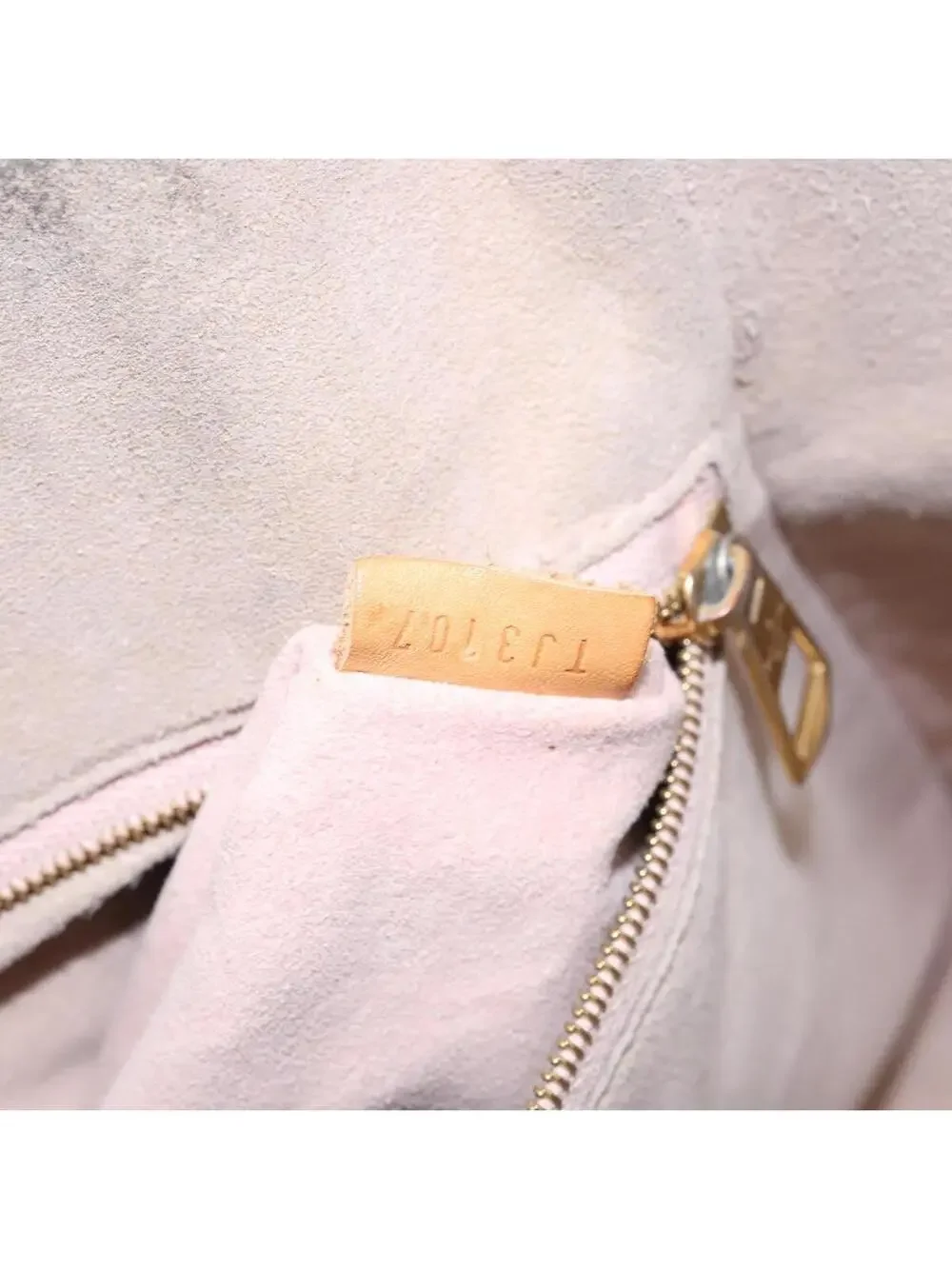 Louis Vuitton introducing louis